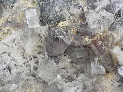 Fluorite, Baryte<br />Lead mines, Obernberg am Brenner, Innsbruck-Land District, Tyrol/Tirol, Austria<br />11 x 9 cm<br /> (Author: Volkmar Stingl)