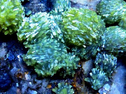 Piromorfita<br />San Andrés Mine, Espiel, Comarca Valle del Guadiato, Córdoba, Andalusia, Spain<br />8 x 6 cm.<br /> (Autor: javier ruiz martin)