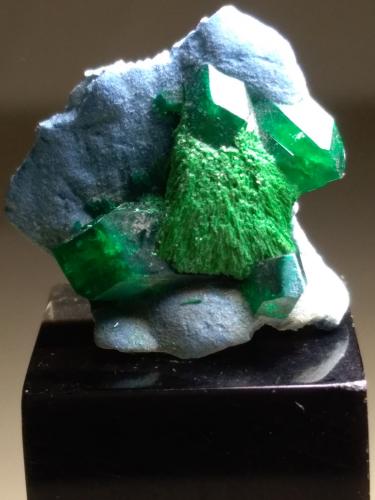 Dioptase, Malachite, Schattuckite<br />Kaokoveld Plateau, Región Kunene, Namibia<br />18 x 18 mm<br /> (Author: Sante Celiberti)