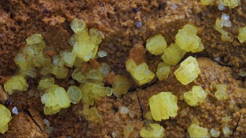 Autunite<br />Vénachat Mine, Compreignac, Bellac, Haute-Vienne Department, Nouvelle-Aquitaine, France<br />FOV 5mm<br /> (Author: david916)