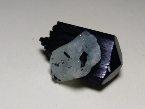 Tourmaline (variety schorl), Beryl<br />Erongo Mountain, Usakos, Erongo Region, Namibia<br />31 x 22 mm<br /> (Author: Sante Celiberti)