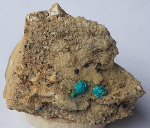Chrysocolla, Tenorite, Dolomite, Calcite<br />Ringenwechsel Mining District, Troi, District Schwaz, Inn Valley, North Tyrol, Tyrol/Tirol, Austria<br />4,5 x 3 cm<br /> (Author: Volkmar Stingl)