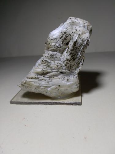 Baryte, Chalcopyrite<br />Dreislar Mine, Dreislar, Winterberg, Sauerland, North Rhine-Westphalia/Nordrhein-Westfalen, Germany<br />83 x 60 mm<br /> (Author: Sante Celiberti)