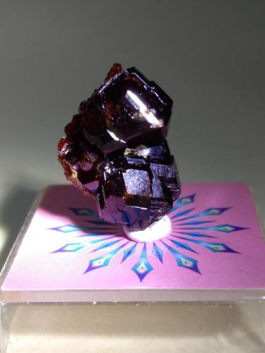 Grossularia<br />Monte Beigua, Provincia Savona, Liguria, Italia<br />18 x 14 mm<br /> (Autor: Sante Celiberti)
