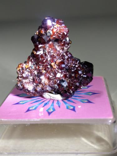 Grossularia<br />Monte Beigua, Provincia Savona, Liguria, Italia<br />21 x 21 mm<br /> (Autor: Sante Celiberti)