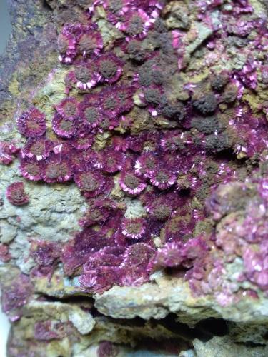 Erythrite<br />Oumlil Mine, Oumlil, Bou Azzer mining district, Zagora Province, Drâa-Tafilalet Region, Morocco<br />96 x 84 mm<br /> (Author: Sante Celiberti)