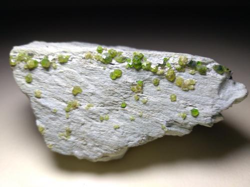 Andradita (variedad demantoide)<br />Malenco Valley (Valmalenco), Sondrio Province, Lombardy, Italy<br />75 x 35 mm<br /> (Autor: Sante Celiberti)