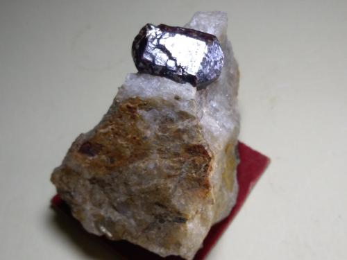Rutilo<br />Oropa, Provincia Biella, Piamonte (Piemonte), Italia<br />54 x 35 mm<br /> (Autor: Sante Celiberti)