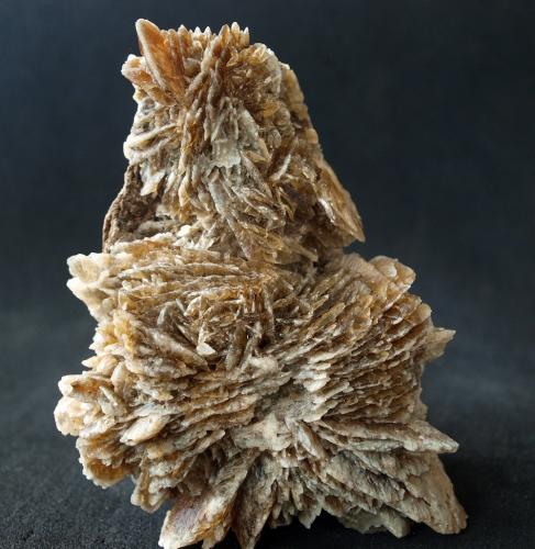 Yeso<br />Barranco del Mulo Deposit, Barranco del Mulo, Ulea, Comarca Valle de Ricote, Region of Murcia (Murcia), Spain<br />9.5 x 6.5 cm<br /> (Autor: Pedro Antonio)