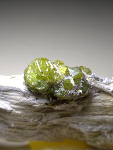 Andradita (variedad demantoide), Asbesto<br />Campo Franscia, Lanzada, Malenco Valley (Valmalenco), Sondrio Province, Lombardy, Italy<br />80 x 32 mm<br /> (Autor: Sante Celiberti)