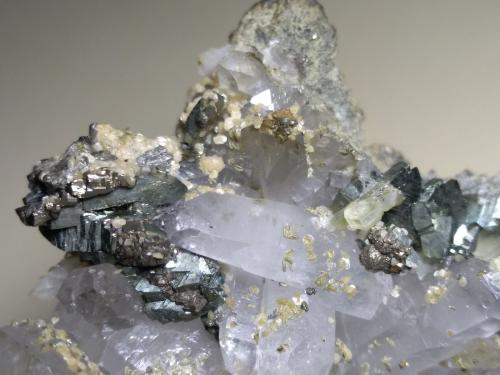 Quartz, Fluorapatite, Cassiterite, Marcasite, Pyrite, Muscovite, Siderite<br />Minas da Panasqueira, Aldeia de São Francisco de Assis, Covilhã, Castelo Branco, Cova da Beira, Centro, Portugal<br />13,5 x 10 cm<br /> (Author: Sante Celiberti)