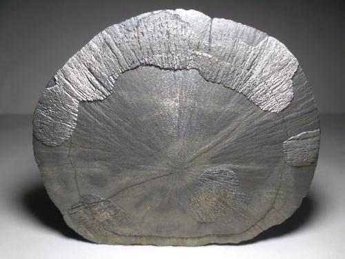 Pyrite<br />Sparta, Condado Randolph, Illinois, USA<br />11,5 x 10 cm<br /> (Author: Sante Celiberti)