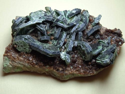 Clinocloro, Grossularia (variedad hessonita)<br />Alpe delle Frasse, Condove, Val di Susa, Provincia Ciudad metropolitana de Turín, Piamonte (Piemonte), Italia<br />50 x 27 mm<br /> (Autor: Sante Celiberti)