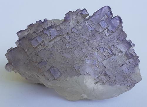 Fluorite<br />Melchor Múzquiz, Municipio Melchor Múzquiz, Coahuila (Coahuila de Zaragoza), Mexico<br />4 x 2,5 cm<br /> (Author: Volkmar Stingl)