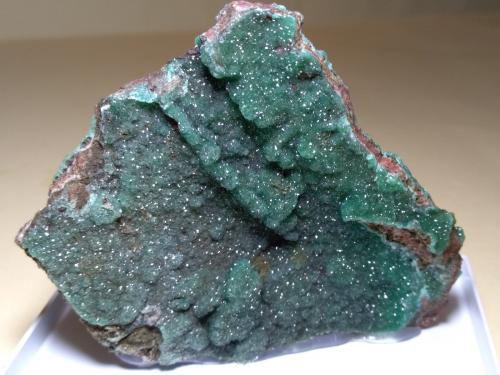 Smithsonite<br />Mina Calabona, Alghero, Provincia Sassari, Cerdeña/Sardegna, Italia<br />75 x 60 mm<br /> (Author: Sante Celiberti)