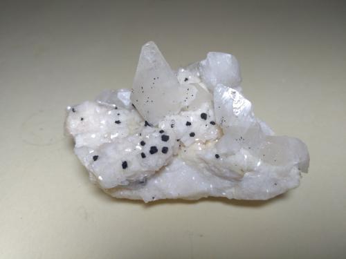 Calcite, Galena<br />San Giovanni Mine, Punta della Torre, Iglesias, Sud Sardegna Province, Sardinia/Sardegna, Italy<br />63 x 45 mm<br /> (Author: Sante Celiberti)