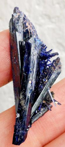 Azurita<br />Kerrouchen, Khénifra Province, Beni Mellal-Khenifra Region, Morocco<br />4,5 x 1,9 x 1,6 cm<br /> (Autor: Carles)