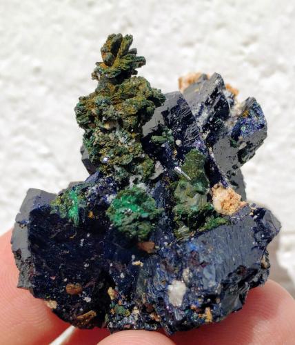 Azurita, Malaquita<br />El Fecht prospects, El Fecht, Oumjrane, Tinghir Province, Drâa-Tafilalet Region, Morocco<br />4,5 x 3,6 x 3,3 cm.<br /> (Autor: Carles)