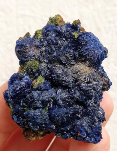 Azurita, Olivenita<br />Tazalarht mining area, Taroudant Province, Souss-Massa Region, Morocco<br />4,5 x 3,9 x 2,8 cm.<br /> (Autor: Carles)