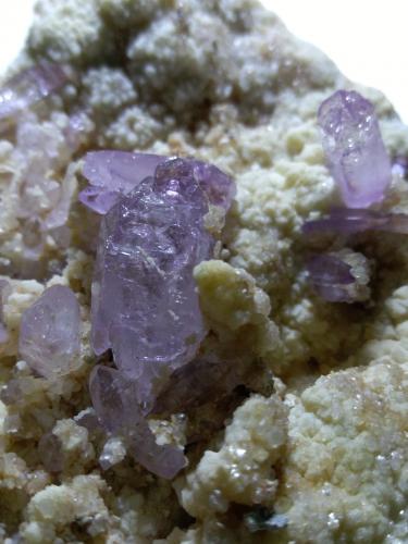 Quartz (variety amethyst)<br />Capurru Quarry, Osilo, Sassari Province, Sardinia/Sardegna, Italy<br />93 x 69 mm<br /> (Author: Sante Celiberti)