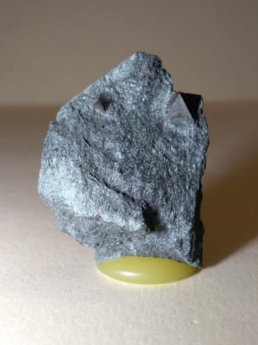 Magnetita<br />Valle Vizze, Provincia Bolzano, Trentino-Alto Adige (Trentino-Südtirol), Italia<br />40 x 30 mm<br /> (Autor: Sante Celiberti)