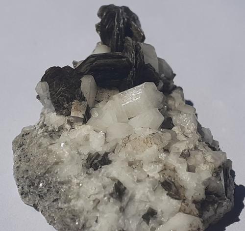 Muscovite, Albite (variety pericline)<br />Floitengrund, Valle Ziller (Zillertal), Tirol Norte, Tirol, Austria<br />3 x 2,5 cm<br /> (Author: Volkmar Stingl)