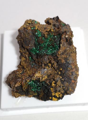 Brochantita<br />Minas de Montealegre, Meredo, Vegadeo, Comarca Eo-Navia, Principado de Asturias (Asturias), España<br />60x45mm<br /> (Autor: joaquin gar)