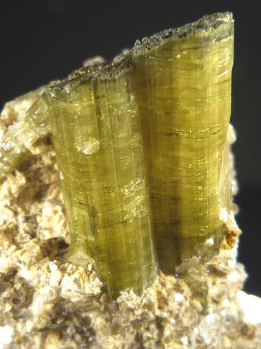 Elbaita (variedad verdelita)<br />Minas Gerais, Brasil<br />8 x 4 x 4 cm.<br /> (Autor: Felipe Abolafia)