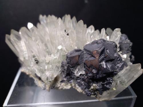 Galena, Quartz<br />Zona minera Madan, Montes Rhodope, Smolyan Oblast, Bulgaria<br />87 x 57 mm<br /> (Author: Sante Celiberti)