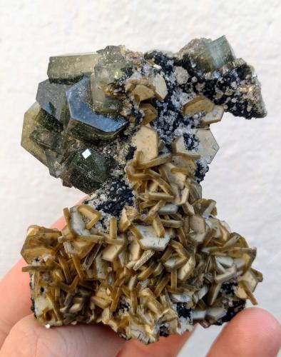 Siderita, Fluorapatito, Moscovita, Clorita, Topacio<br />Minas da Panasqueira, level 0, Aldeia de São Francisco de Assis, Covilhã, Castelo Branco, Cova da Beira, Centro, Portugal<br />7,2 x 5,5 x 3,2 cm.<br /> (Autor: Carles)