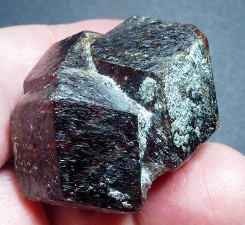 Almandino (Grupo Granate)<br />Gaisberg Valley, Obergurgl, Gurgler Valley, Ötz Valley, North Tyrol, Tyrol/Tirol, Austria<br />5 x 4 cm.<br /> (Autor: javier ruiz martin)