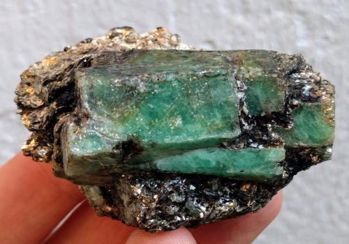 Berilo (variedad esmeralda), Flogopita (Grupo Mica)<br />Emerald Deposit, A Franqueira, A Cañiza, Comarca Paradanta, Pontevedra, Galicia / Galiza, Spain<br />6,0 x 4,2 cm<br /> (Autor: Carles)