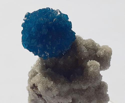 Cavansite<br />Wagholi Quarry, Wagholi, Pune District (Poonah District), Maharashtra, India<br />3,5 x 2,5 cm<br /> (Author: Volkmar Stingl)