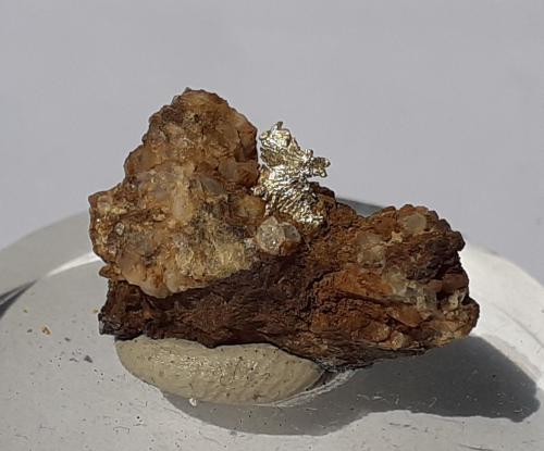 Gold<br />Julcani District, Angaraes Province, Huancavelica Department, Peru<br />2 x 1,5 cm<br /> (Author: Volkmar Stingl)