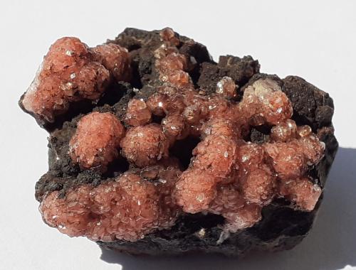 Rhodochrosite<br />Hotazel, Kalahari manganese field (KMF), Provincia Septentrional del Cabo, Sudáfrica<br />3 x 2,5 cm<br /> (Author: Volkmar Stingl)
