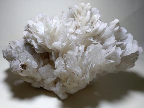 Calcite<br />Mina San Giovanni, Punta della Torre, Iglesias, Provincia Sud Sardegna, Cerdeña/Sardegna, Italia<br />18 x 16 cm<br /> (Author: Sante Celiberti)