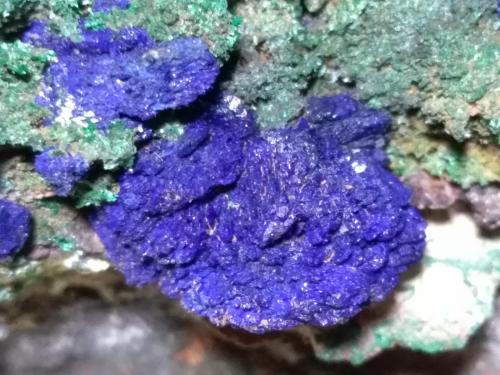 Azurite, Malachite<br />Sa Duchesa Mine, Oridda Valley, Domusnovas, Sud Sardegna Province, Sardinia/Sardegna, Italy<br />12 x 6,5 cm<br /> (Author: Sante Celiberti)