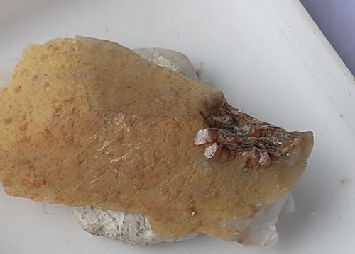Stolzite<br />Cinovec/Zinnwald, Erzgebirge, Krusné Hory Mts., Ústí Region, Bohemia, Czech Republic<br />2 x 1 cm<br /> (Author: Volkmar Stingl)