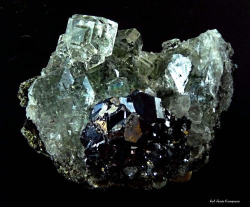 Fluorita y Galena.<br />Naica, Municipio Saucillo, Chihuahua, México<br />60x40 mm.<br /> (Autor: Jesus Franquesa Baucells)