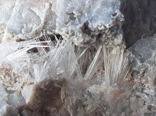 Aragonite<br />Hörndlinger Graben, Hochfilzen, Kitzbühel District, North Tyrol, Tyrol/Tirol, Austria<br />8 x 7 cm<br /> (Author: Volkmar Stingl)