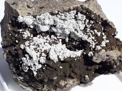 Ferrierite-Mg<br />Wildon (former Weitendorf), Leibnitz District, Styria/Steiermark, Austria<br />5 x 3,5 cm<br /> (Author: Volkmar Stingl)