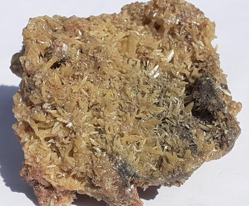 Mimetite<br />Tsumeb Mine, Tsumeb, Otjikoto Region, Namibia<br />4 x 3,5 cm<br /> (Author: Volkmar Stingl)