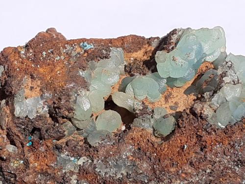 Cuproadamite<br />Ojuela Mine, Mapimí, Municipio Mapimí, Durango, Mexico<br />5 x 3 cm<br /> (Author: Volkmar Stingl)