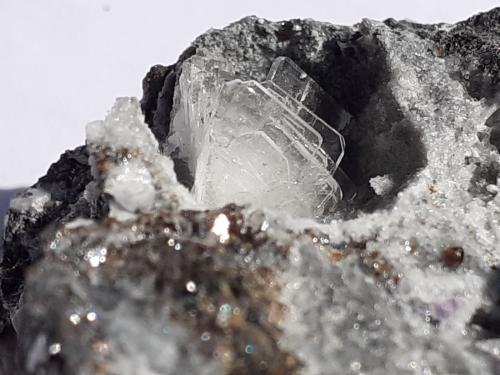 Baryte<br />Lead mines, Obernberg am Brenner, Innsbruck-Land District, Tyrol/Tirol, Austria<br />FoV ca. 3 x 2 cm<br /> (Author: Volkmar Stingl)