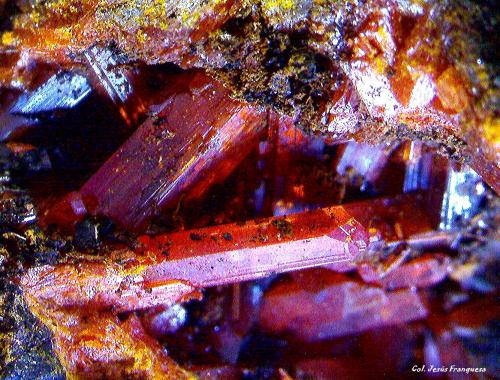 Crocoita.<br />Dundas, Distrito Zeehan, Consejo Costa Oeste, Tasmania, Australia<br />5´655 x 4´018 mm.<br /> (Autor: Jesus Franquesa Baucells)