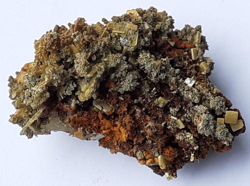 Wulfenite, Mimetite<br />Mina Ojuela, Mapimí, Municipio Mapimí, Durango, México<br />5 x 3 cm<br /> (Author: Volkmar Stingl)