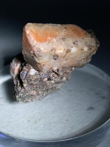 Ortoclasa<br />Valfloriana, Trento Province, Trentino-Alto Adige (Trentino-Südtirol), Italy<br />40,5 x 36 mm<br /> (Autor: Sante Celiberti)
