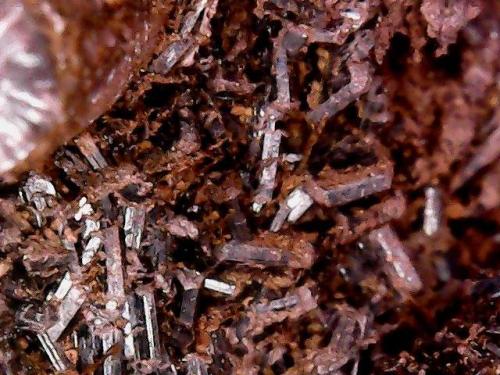 Goethita<br />Morro das Balas, Formiga, Minas Gerais, Brasil<br />Cristales con 4 x 0,6 x 0,6 mm<br /> (Autor: Anisio Claudio)