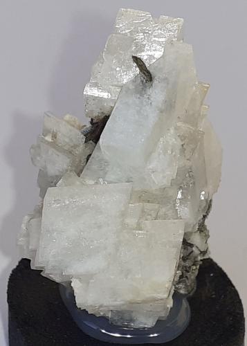 Orthoclase (variety adularia) with Muscovite<br />Lapenkar, Valle Stilupp, Valle Ziller (Zillertal), Tirol Norte, Tirol, Austria<br />3,5 x 2 cm<br /> (Author: Volkmar Stingl)