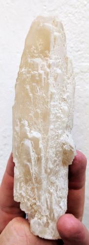 Celestina<br />Celestine deposit, Hurchillo floodgates, Tajo-Segura irrigation system, Arneva, Orihuela, Comarca Vega Baja del Segura, Alicante / Alacant, Valencian Community / Comunitat Valenciana, Spain<br />12,5 x 3,6 cm.<br /> (Autor: Carles)